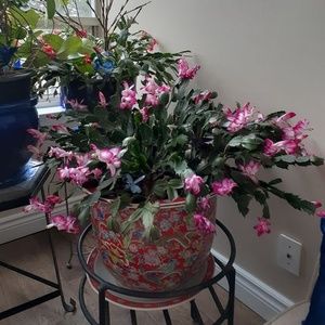 Meet your Posher, Marion